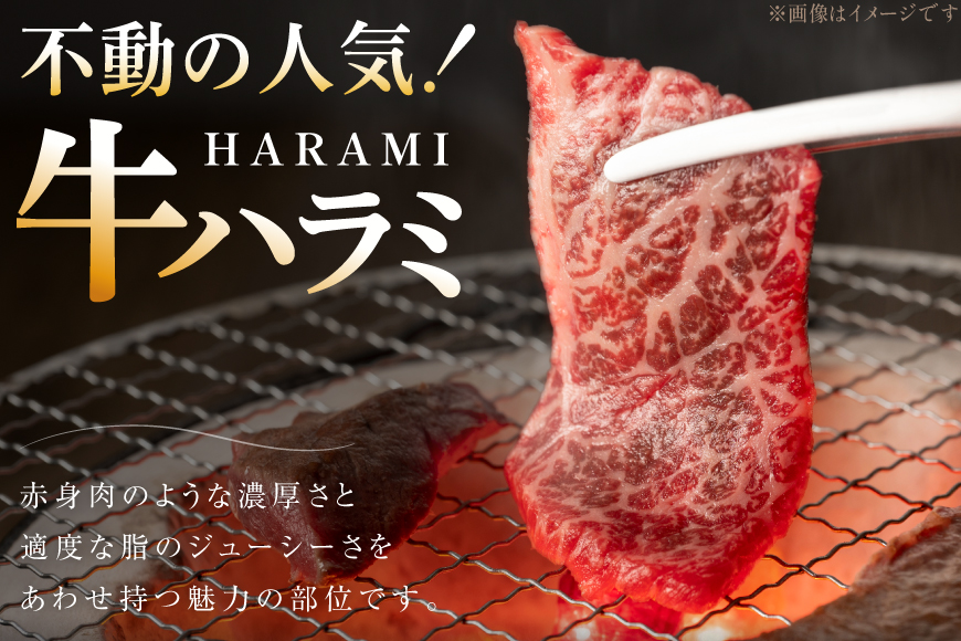 牛肉 味付き 牛ハラミ 300g 5P 計1.5kg [からくわ精肉店 宮城県 気仙沼市 20566102] 牛 肉 焼肉 ハラミ 熟成手造りたれ 小分けパック 小分け 冷凍