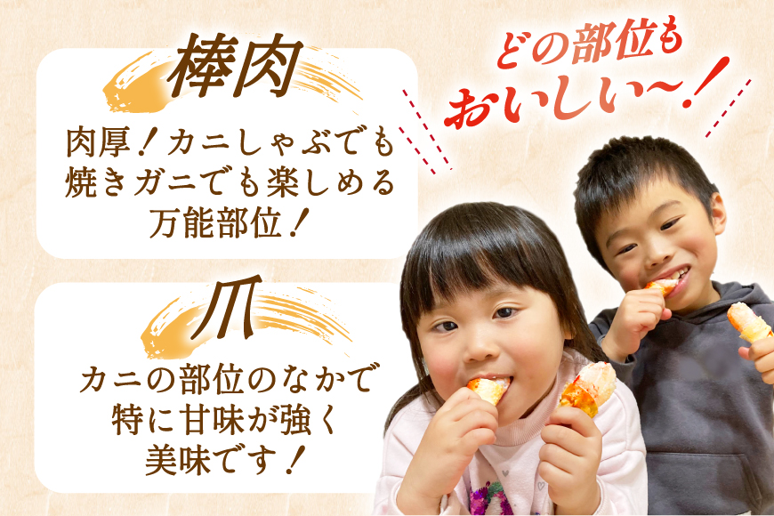 カット済 ずわいがに むき身セット 総重量1.5kg(750g×2p) かにしゃぶ かに鍋 正味重量1.2kg [カネダイ 宮城県 気仙沼市 20564319] かに カニ ずわいがに ずわい 蟹 棒 魚介 海鮮 ポーション