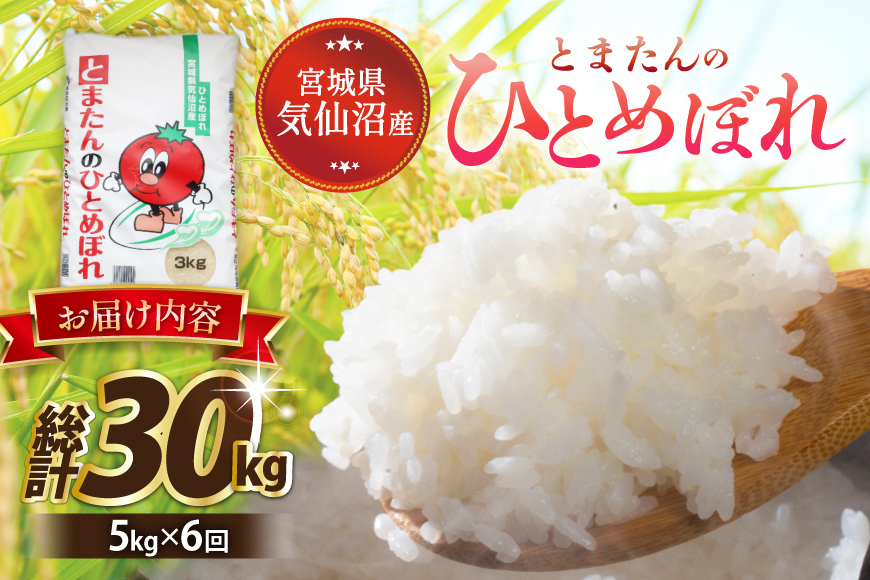 6回 定期便 米 宮城県産 とまたんのひとめぼれ 5kg 総計30kg [サンフレッシュ小泉農園 宮城県 気仙沼市 20566085] ひとめぼれ ブランド米 白米 精米 ご飯 ごはん コメ こめ お米 小分け 家庭用