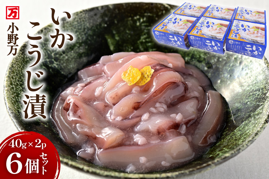 いかこうじ漬 40g×2P 6個セット [小野万 宮城県 気仙沼市 20565720] 魚 魚介類 いか イカ 塩辛 イカ塩辛 麹漬け こうじ漬け 小分け 食べきりサイズ 酒の肴 おつまみ ご飯のお供 冷蔵