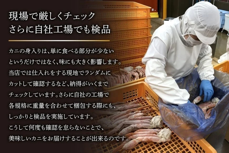 ボイル済み 本ずわいがに 脚 3L〜4L 総重量 2kg [カネダイ 宮城県 気仙沼市 20564764] カニ 蟹 ズワイガニ ずわい蟹 ズワイ蟹 ずわい ズワイ 海鮮 魚介類 カニ脚 蟹脚 足 ボイル ご褒美
