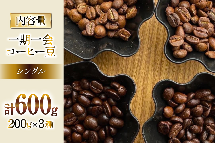 コーヒー 焙煎士おススメ コーヒー豆 セット 200g×3種 計600g [アンカーコーヒー 宮城県 気仙沼市 20564574] 珈琲 珈琲豆 豆 焙煎 自家焙煎