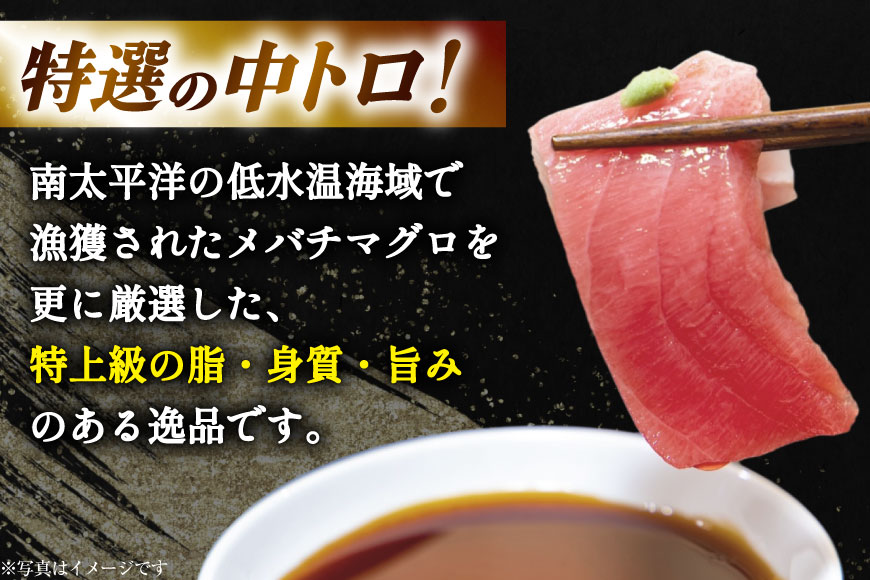 特撰 中トロマグロ（メバチマグロ）１柵 150g [川印　村田漁業 宮城県 気仙沼市 20563398] 魚介 魚 海鮮 まぐろ 鮪 マグロ メバチマグロ トロ とろ 中トロ 刺身