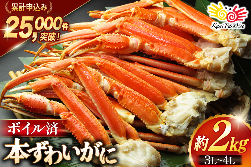 ボイル済み 本ずわいがに 脚 3L〜4L 総重量 2kg [カネダイ 宮城県 気仙沼市 20564764] カニ 蟹 ズワイガニ ずわい蟹 ズワイ蟹 ずわい ズワイ 海鮮 魚介類 カニ脚 蟹脚 足 ボイル ご褒美