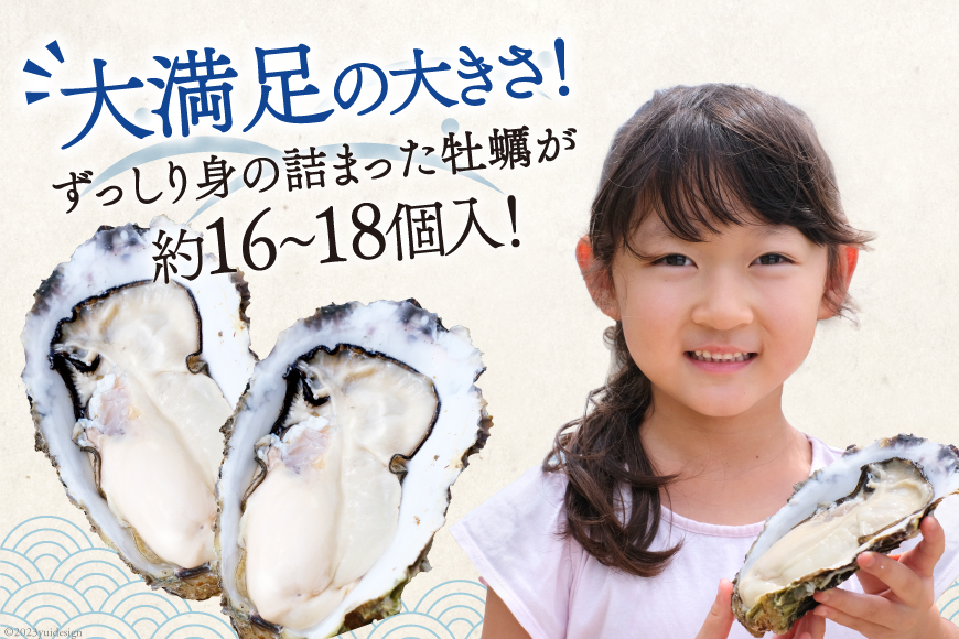【期間限定発送】 TVで紹介！ 牡蠣 3～4年モノ 生食 殻付き牡蠣 約3kg(約16-18個入) [住喜水産 宮城県 気仙沼市 20564186] 期間限定 冷蔵 新鮮 濃厚 真牡蠣 カキ かき 生牡蠣 魚貝類 生牡蠣 貝 海鮮 魚介類 なべ カキフライ 牡蠣ご飯 魚介