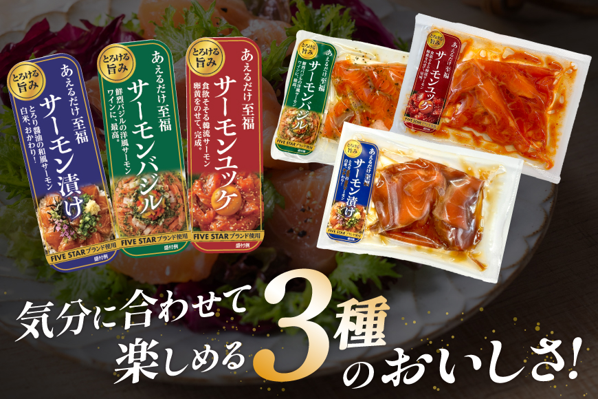 サーモン FIVE STAR ブランド サーモンユッケ サーモンバジル サーモン漬け 3種 セット 計6パック [カネダイ 宮城県 気仙沼市 20566152] 魚 魚介類 サーモン サーモントラウト 鮭 さけ サーモン ユッケ バジル 漬け さけ サケ トラウト 海鮮 丼 海鮮丼 個包装 小分け 冷凍