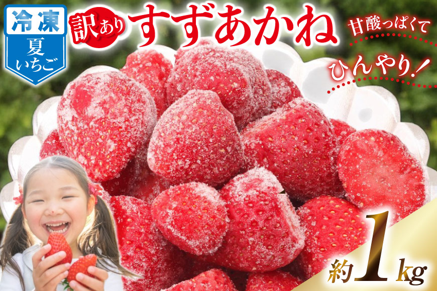 訳あり 冷凍 夏いちご すずあかね 約1kg [水山養殖場 宮城県 気仙沼市 20564004] 果物 イチゴ いちご 苺 簡易包装 フルーツ