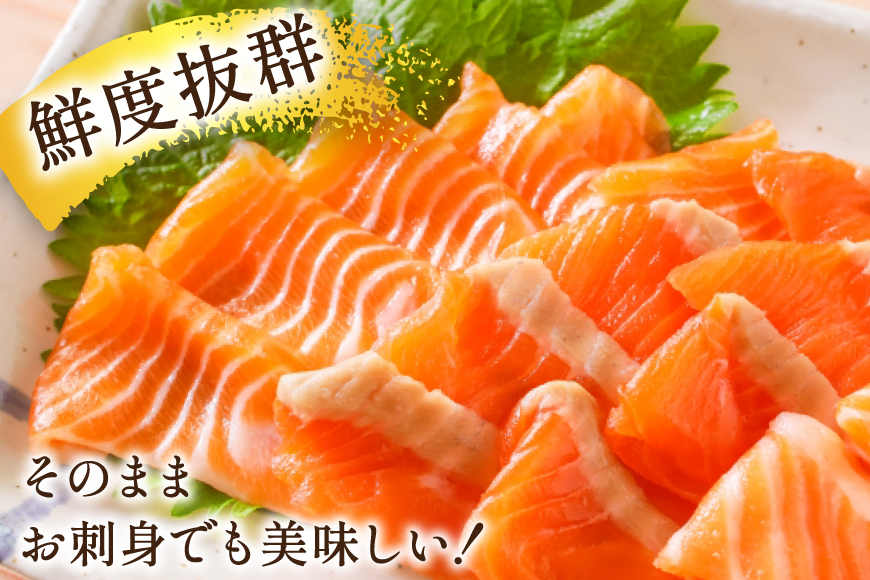 訳あり サーモン 切り落とし おさしみ用 計4kg 125g ×32p [足利本店 宮城県 気仙沼市 20565968] 魚 魚介類 鮭 お刺し身 刺し身 刺身 生 生食 個包装 チリ銀鮭 銀鮭 海鮮 海鮮丼 魚介