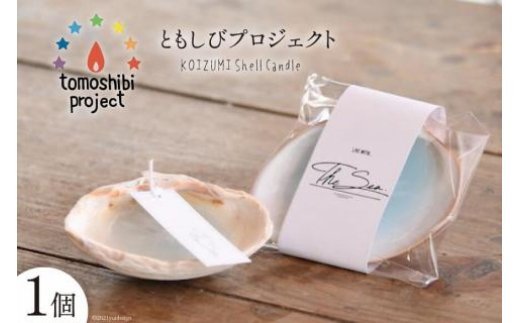 KOIZUMI Shell Candle 1個 / ともしびプロジェクト / 宮城県 気仙沼市