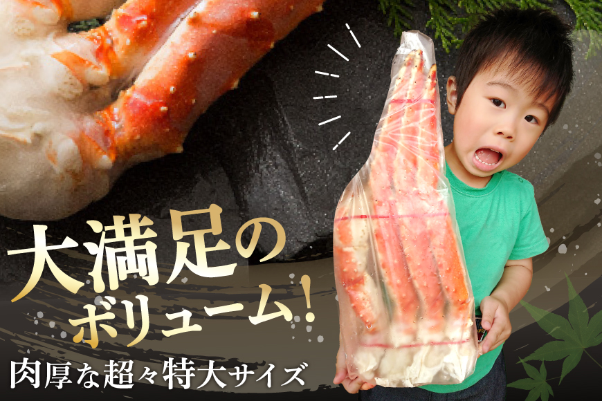 本 タラバガニ 脚 ボイル済 約1kg 極太5Lサイズ [カネダイ 宮城県 気仙沼市 20564323] カニ かに 蟹 たらばがに たらば蟹 タラバ蟹 たらば タラバ ボイル