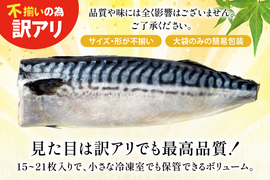 訳あり 減塩 無添加 塩サバ フィレ Mサイズ 総重量 3kg (15-21枚入) [足利本店 宮城県 気仙沼市 20565687] 魚介類 魚 大容量 サバ さば 鯖 塩分控えめ 切り身 冷凍 訳アリ