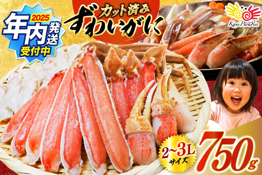 【2025 年内配送】 カット済 生 ずわいがに むき身 セット 総重量 750g (正味重量600g) 2-3Lサイズ [カネダイ 宮城県 気仙沼市 20565652] かに カニ ズワイガニ ずわい ズワイ 蟹 棒肉 ポーション かに鍋 かにしゃぶ 生ずわい