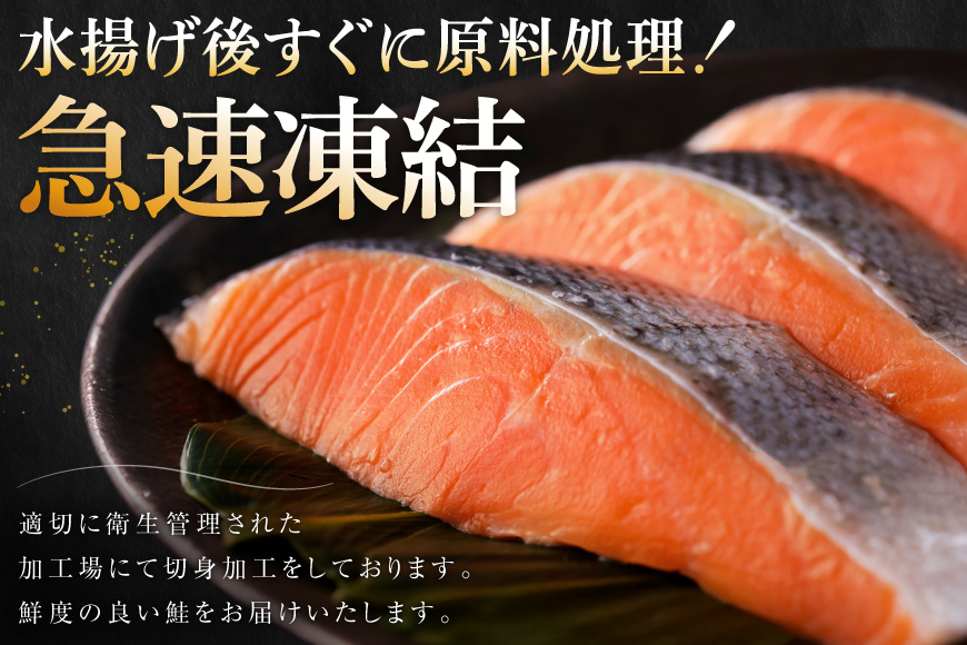 訳あり サーモン 切身 骨取り 無塩 1.5kg バラ入れ 大袋 [足利本店 宮城県 気仙沼市 20564101] 魚 魚介類 サーモン 冷凍 鮭 海鮮 魚介 規格外 不揃い さけ サケ 鮭切身 シャケ 切り身 サーモン切り身 訳アリ わけあり 簡易包装 家庭用 冷凍