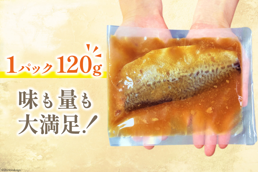 国産 さば 味噌煮 120g×10パック [阿部長商店 宮城県 気仙沼市 20564777] 個包装 真空パック 鯖 サバ さば 味噌煮 惣菜 魚 加工品 切り身 さばみそ サバ味噌 簡単 簡単調理 温めるだけ 冷凍