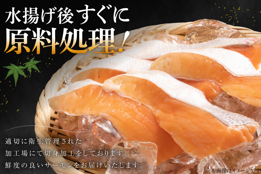 訳あり サーモン ハラス 鮭 切身 骨取り 皮なし 無塩 1.5kg [足利本店 宮城県 気仙沼市 20566122] 魚 鮭 魚介類 冷凍 海鮮 鮭 魚介 規格外 鮭 不揃い さけ サケ 鮭切身 シャケ 切り身 サーモン切り身 訳アリ わけあり 簡易包装 家庭用 冷凍 鮭