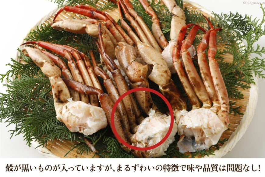 大人気！リピーター続出 まるずわいがに 肩脚肉 総重量3kg (9-15肩相当) [カネダイ 宮城県 気仙沼市 20563327] かに カニ かに物語 まるズワイガニ 丸ずわいがに マルズワイガニ 蟹 ずわい