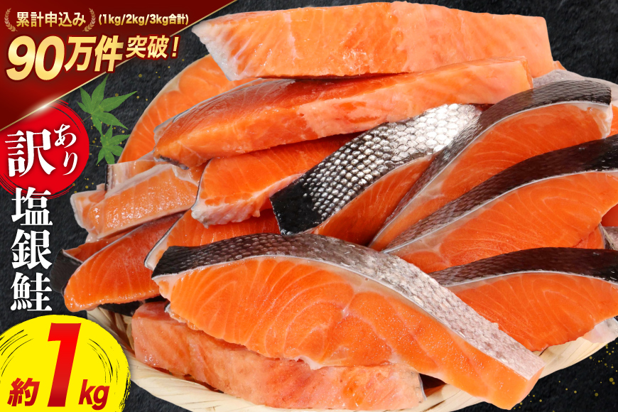 訳あり 銀鮭 切身 約1kg [宮城東洋 宮城県 気仙沼市 20564663] 鮭 海鮮 規格外 不揃い さけ サケ 鮭切身 シャケ 切り身 冷凍 家庭用 訳アリ おかず 弁当 支援 サーモン 銀鮭切り身 魚 わけあり