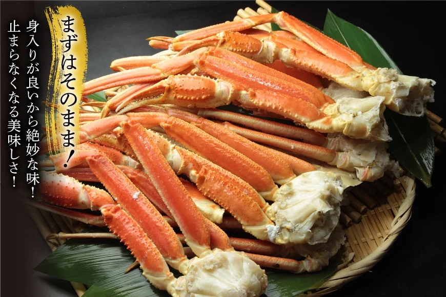 訳あり ボイル ずわいがに 肩付き脚 総重量1kg [カネダイ 宮城県 気仙沼市 20564325] カニ かに 魚介類 ズワイガニ ずわい蟹 ズワイ蟹 ずわい ズワイ 蟹 カニ カニ脚 蟹脚 不揃い 規格外 海鮮 ご褒美