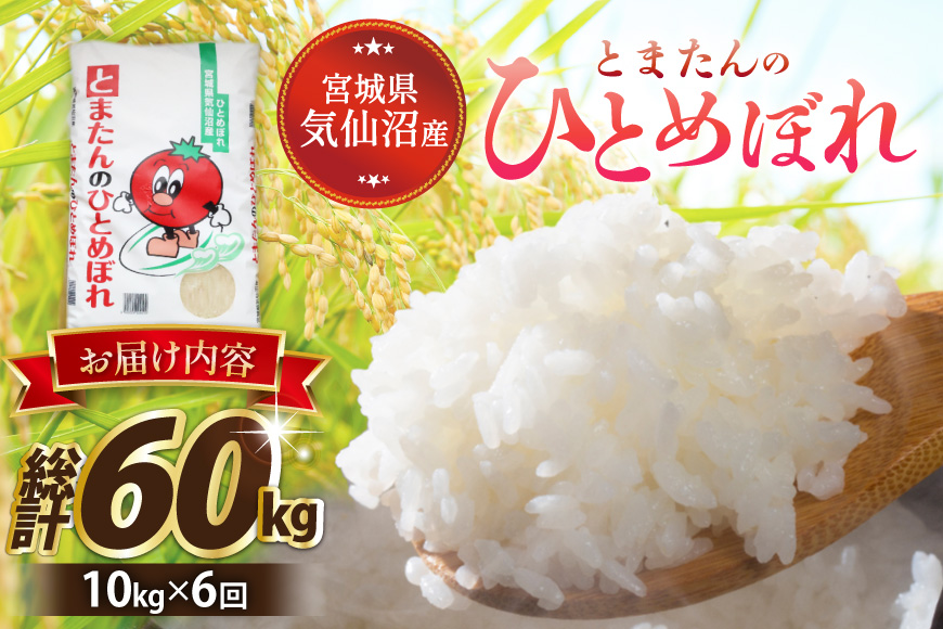 6回 定期便 米 宮城県産 とまたんのひとめぼれ 10kg (5kg×2袋) 総計60kg [サンフレッシュ小泉農園 宮城県 気仙沼市 20566087] ひとめぼれ ブランド米 白米 精米 ご飯 ごはん コメ こめ お米 小分け 家庭用