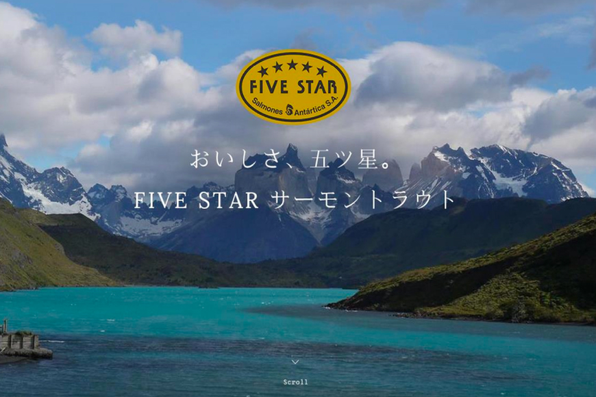 FIVE STAR ブランド 訳あり サーモン トラウト スライス 総重量 1kg 200g×5p [カネダイ 宮城県 気仙沼市 20565178] 魚 魚介類 刺身 小分け 冷凍 鮭 さけ 海鮮 切り落とし 生食用 真空パック さけ サケ 食品 生食 サーモントラウト 手巻き寿司 丼 海鮮丼 カルパッチョ 個包装 お刺身
