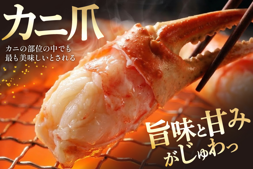 リピーター続出！ 本ずわいがに爪 約700g [カネダイ 宮城県 気仙沼市 20564321] 蟹 かに カニ ずわいがに ズワイガニ ずわい蟹 ズワイ蟹 ずわい ズワイ 蟹 カニ爪 蟹爪 カニ爪肉 つめ 爪 ボイル