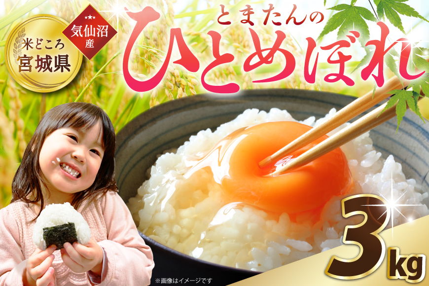 米 令和7年産 宮城県産 とまたんのひとめぼれ 3kg [サンフレッシュ小泉農園 宮城県 気仙沼市 20565645] ひとめぼれ ブランド米 白米 精米 ご飯 ごはん コメ こめ お米 小分け 家庭用
