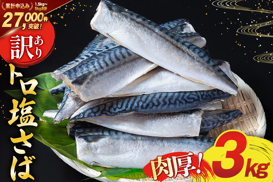 訳あり 塩サバ フィレ 3kg [足利本店 宮城県 気仙沼市 20564146] 魚介類 魚 海鮮 大容量 サバ さば 鯖 サバフィレ サバフィーレ 鯖フィレ トロサバ 訳アリ 訳あり わけあり 切り身 冷凍