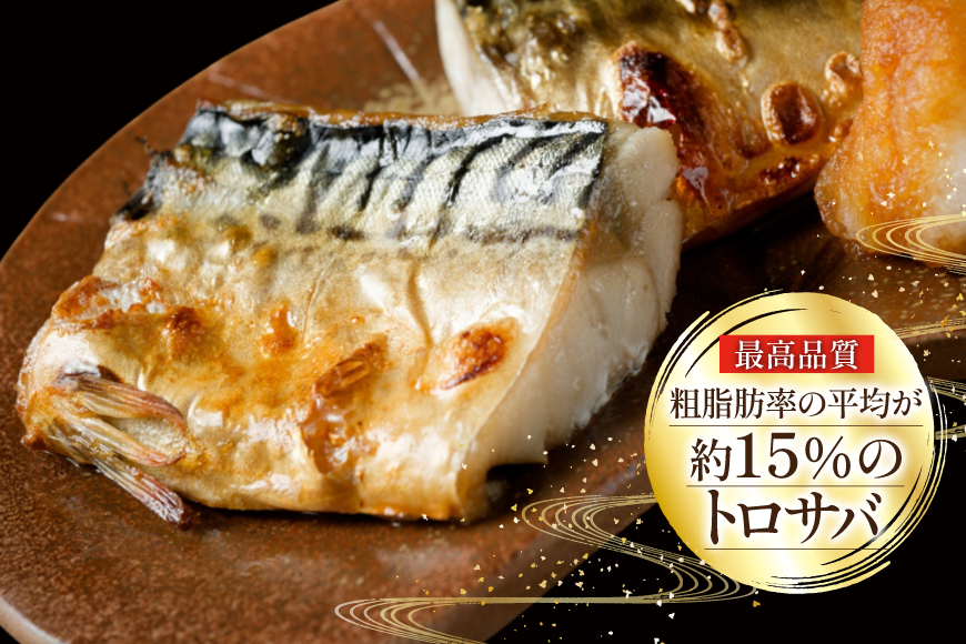 訳あり 減塩 無添加 トロ塩サバ フィレ Sサイズ 総重量 3kg [足利本店 宮城県 気仙沼市 20565959] 魚介類 魚 大容量 サバ さば 鯖 トロサバ トロさば とろサバ 塩分控えめ 切り身 冷凍 訳アリ
