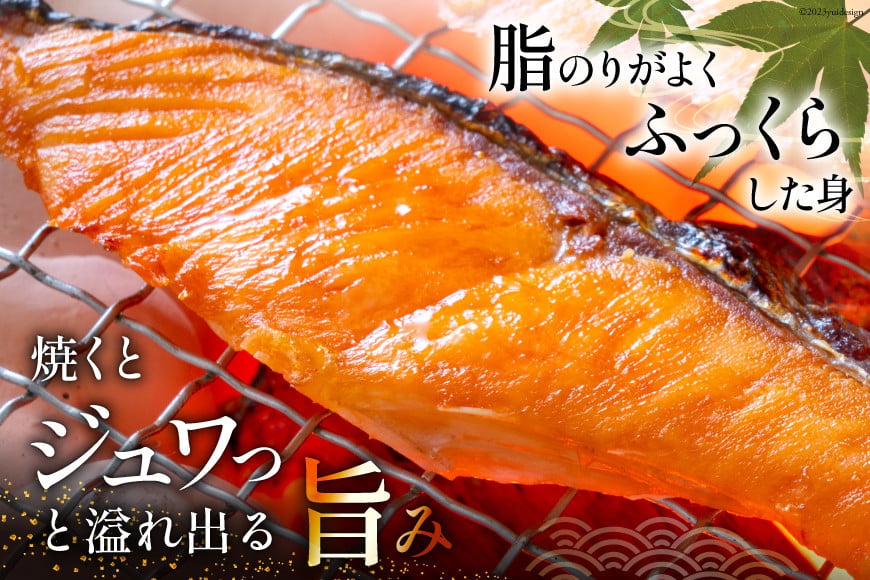 訳あり 銀鮭 切身 約2kg [宮城東洋 宮城県 気仙沼市 20564991] 鮭 魚介類 海鮮 訳アリ 規格外 不揃い さけ サケ 鮭切身 シャケ 切り身 冷凍 家庭用 おかず 弁当 支援 サーモン 銀鮭切り身 魚 わけあり