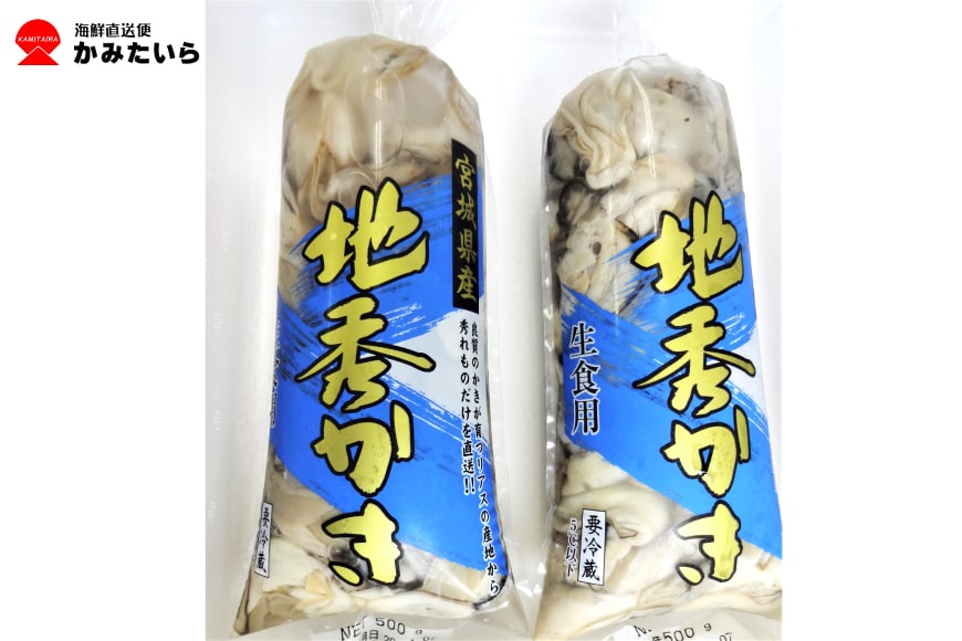 むき身 地秀かき 生食用 500g×2袋 [かみたいら 宮城県 気仙沼市 20562764] カキ 牡蠣 冷蔵