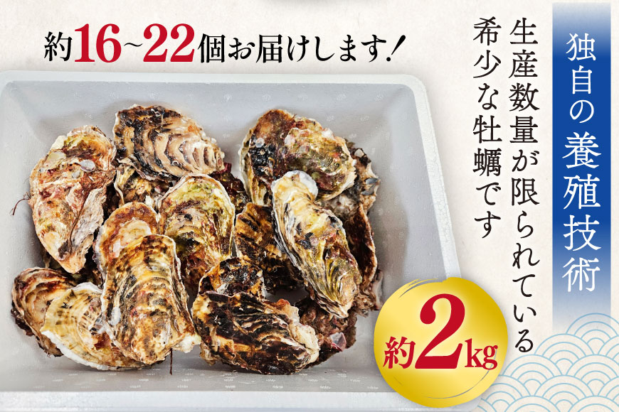 【期間限定発送】 牡蠣 小粒 1〜1年半モノ 生食 殻付き牡蠣 約2kg (約16〜22個入) [住喜水産 宮城県 気仙沼市 20565055] 冷蔵 新鮮 濃厚 真牡蠣 カキ かき 生牡蠣 魚貝類 貝 海鮮 魚介類 なべ カキフライ 牡蠣ご飯 魚介