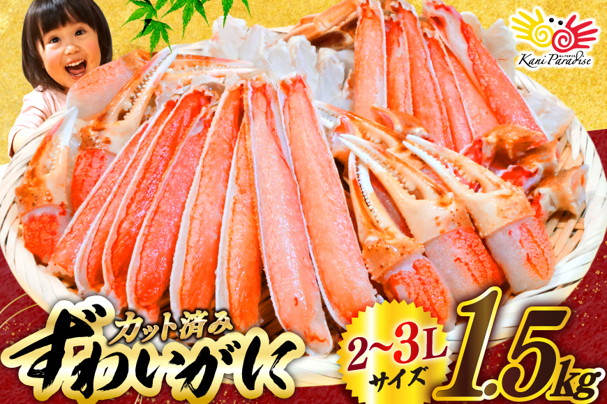 【12/25決済完了分まで年内発送】 カット済 生 ずわいがに むき身 セット 総重量 1.5kg (正味重量1.2kg) 2-3Lサイズ [カネダイ 宮城県 気仙沼市 20565690] かに カニ ズワイガニ ずわい ズワイ 蟹 棒肉 ポーション かに鍋 かにしゃぶ 生ずわい