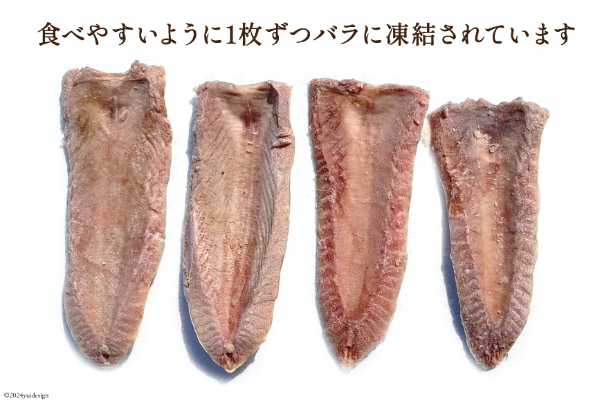 訳あり かつお ハラス フィーレ 1.2kg [足利本店 宮城県 気仙沼市 20564314] 魚介類 魚 カツオ 鰹 さかな サカナ はらす 鰹ハラス はらみ ハラモ はらも おつまみ 惣菜 おかず