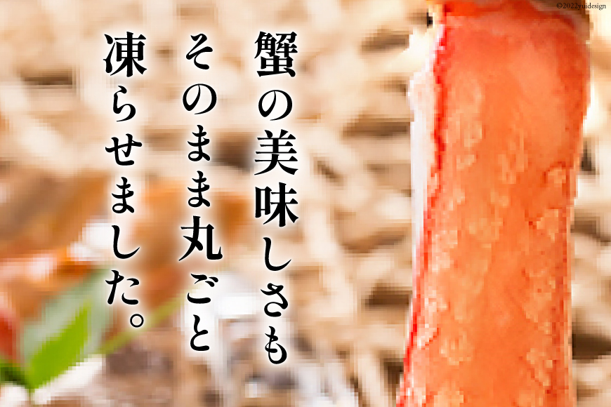 【能登支援】極太 生本ずわいがに 棒肉ポーション 約1kg 26本～40本入り 殻剥き不要 ! 脚肉のみ ! [カネダイ 宮城県 気仙沼市 20564812] 蟹 かに カニ ずわいがに ズワイガニ ずわい蟹 ズワイ蟹 カニ脚 蟹脚 カニ棒肉 能登 支援