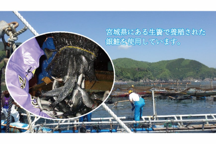 おつまみ 骨骨おつまみサーモン 35g×1袋 [気仙沼市物産振興協会 宮城県 気仙沼市 20565977] おやつ つまみ 個包装 サーモン 銀鮭 さけ サケ 鮭 シャケ 珍味