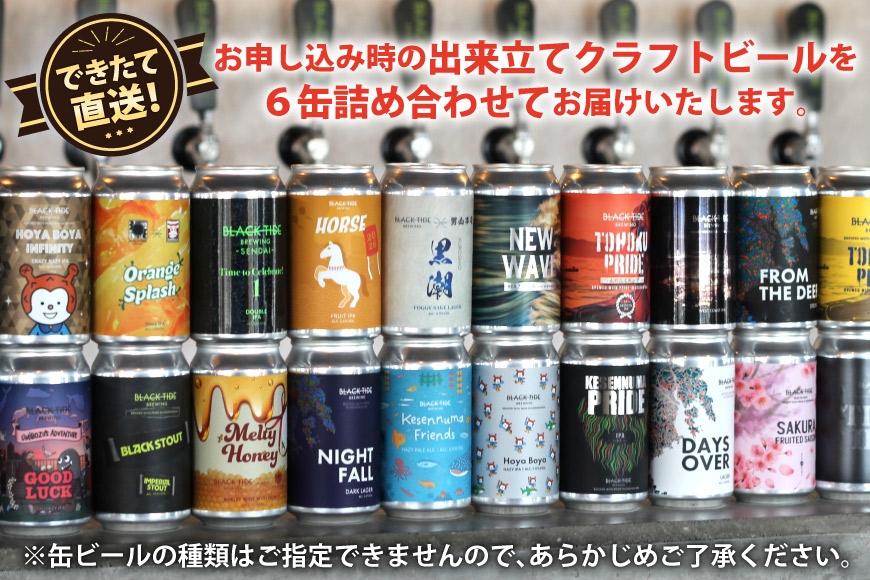 3回 定期便 BTB クラフトビール 6缶 セット【総計18缶】 [BLACK TIDE BREWING 宮城県 気仙沼市 20565981] 酒 ビール びーる 飲み比べ クラフト お酒 地ビール