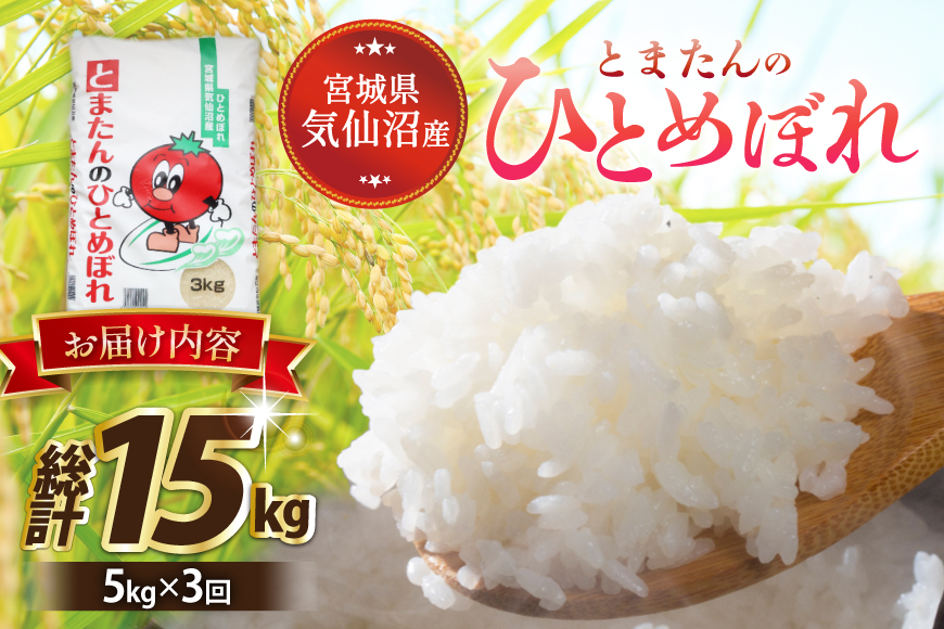 3回 定期便 米 宮城県産 とまたんのひとめぼれ 5kg 総計15kg [サンフレッシュ小泉農園 宮城県 気仙沼市 20566084] ひとめぼれ ブランド米 白米 精米 ご飯 ごはん コメ こめ お米 小分け 家庭用