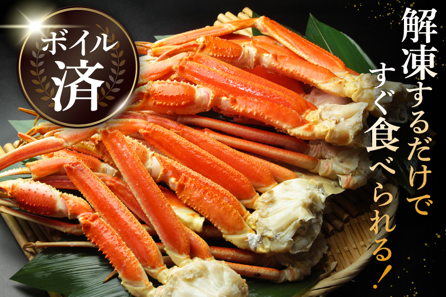 訳あり ボイル ずわいがに 肩付き脚 総重量1kg [カネダイ 宮城県 気仙沼市 20564325] カニ かに 魚介類 ズワイガニ ずわい蟹 ズワイ蟹 ずわい ズワイ 蟹 カニ カニ脚 蟹脚 不揃い 規格外 海鮮 ご褒美