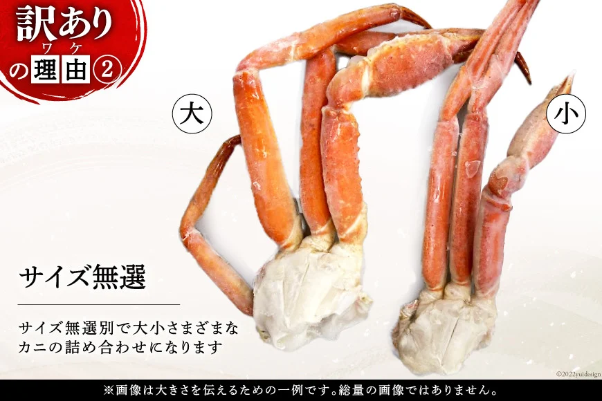 訳あり ボイル ずわいがに 肩付き脚 総重量1kg [カネダイ 宮城県 気仙沼市 20564325] カニ かに 魚介類 ズワイガニ ずわい蟹 ズワイ蟹 ずわい ズワイ 蟹 カニ カニ脚 蟹脚 不揃い 規格外 海鮮 ご褒美