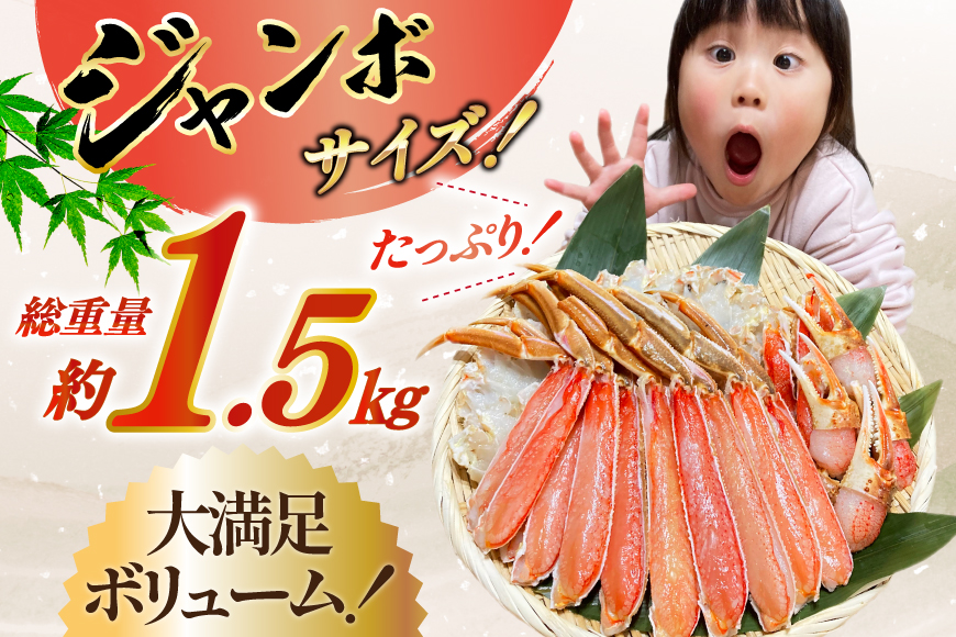 カット済 ずわいがに むき身セット 総重量1.5kg(750g×2p) かにしゃぶ かに鍋 正味重量1.2kg [カネダイ 宮城県 気仙沼市 20564319] かに カニ ずわいがに ずわい 蟹 棒 魚介 海鮮 ポーション