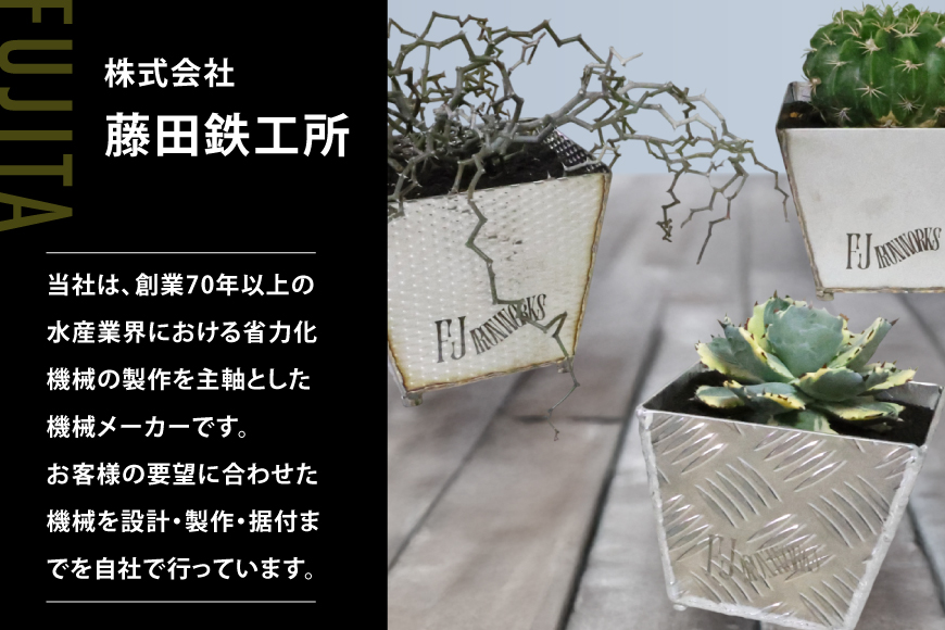 植木鉢 BOTANICAL POT SSP-M 1点 [藤田鉄工所 宮城県 気仙沼市 20565001] プランター 鉢 植木 おしゃれ 室内 多肉植物 アガベ ステンレス 金属 花 ガーデン DIY 植物 多肉 観葉植物 ナチュラル
