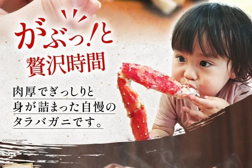 本 タラバガニ 脚 ボイル済 約1.5kg 極太7Lサイズ [カネダイ 宮城県 気仙沼市 20564326] カニ かに 蟹 たらばがに たらば蟹 タラバ蟹 たらば タラバ ボイル