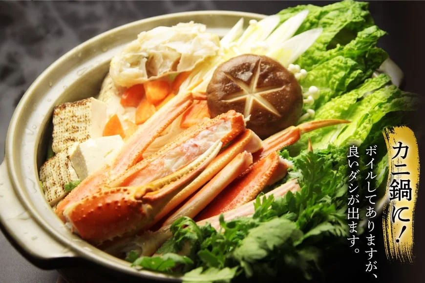 訳あり ボイル ずわいがに 肩付き脚 総重量1kg [カネダイ 宮城県 気仙沼市 20564325] カニ かに 魚介類 ズワイガニ ずわい蟹 ズワイ蟹 ずわい ズワイ 蟹 カニ カニ脚 蟹脚 不揃い 規格外 海鮮 ご褒美