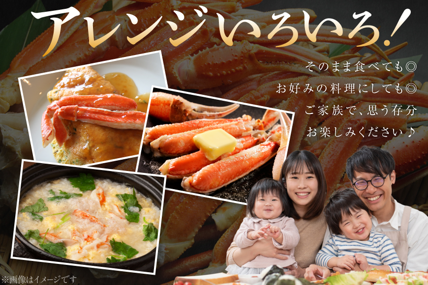 訳あり ボイル ずわいがに 肩付き脚 総重量1kg [カネダイ 宮城県 気仙沼市 20564325] カニ かに 魚介類 ズワイガニ ずわい蟹 ズワイ蟹 ずわい ズワイ 蟹 カニ カニ脚 蟹脚 不揃い 規格外 海鮮 ご褒美