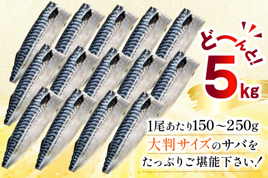 訳あり 塩サバ フィレ 5kg [足利本店 宮城県 気仙沼市 20565496] 魚介類 魚 海鮮 大容量 サバ さば 鯖 サバフィレ サバフィーレ 鯖フィレ 切り身 冷凍 訳アリ わけあり トロサバ 減塩 とろさば