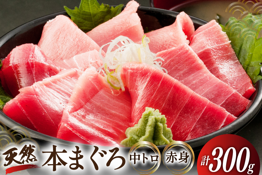 昭福丸の天然本まぐろ (中トロ･赤身) 各150g 計300g [臼福本店 宮城県 気仙沼市 20566155] 魚 鮮魚 刺身 トロ 天然本マグロ マグロ まぐろ 鮪 本まぐろ 本マグロ 本鮪 冷凍