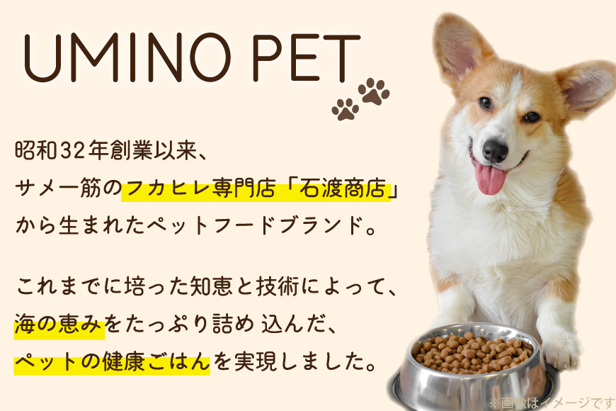 ドッグフード UMINO PET 総合栄養食 800g 1袋 [石渡商店 宮城県 気仙沼市 20565993] 犬 ドックフード ヒューマングレード 成犬用 サメ肉 犬用 成犬 サメ ペット ペットフード