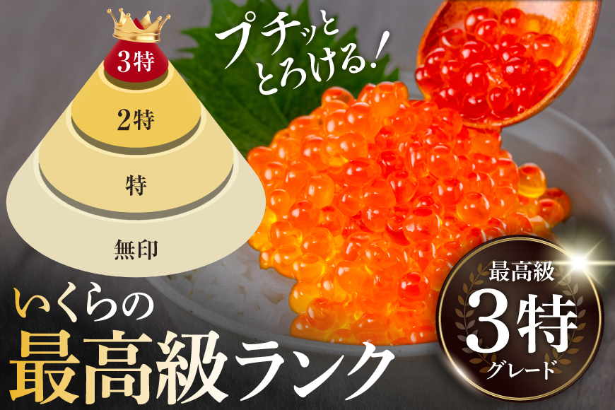 【TVで紹介！】最高級3特 国産 味付 いくら 宝壽 醤油漬 120g×3 [かわむら家 宮城県 気仙沼市 20565082] イクラ 海鮮 魚介類 醤油漬け 鮭いくら