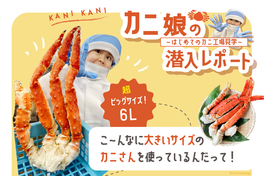 本 タラバガニ 脚 スリット入 約1.3kg 極太6Lサイズ ボイル済 [カネダイ 宮城県 気仙沼市 20564363] カニ かに 蟹 たらばがに たらば蟹 タラバ蟹 たらば タラバ ボイル 脚肉 スリット 訳あり
