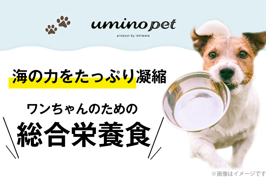 ドッグフード UMINO PET 総合栄養食 800g 1袋 [石渡商店 宮城県 気仙沼市 20565993] 犬 ドックフード ヒューマングレード 成犬用 サメ肉 犬用 成犬 サメ ペット ペットフード